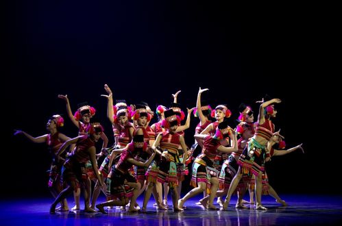 紅河州2024年第三屆群眾文化白鷴獎文藝匯演圓滿落幕，展現民族文化藝術新風采