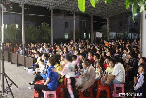 文藝惠民展新風，志愿服務暖人心——福建武平縣新時代文明實踐活動紀實